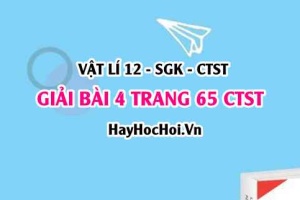 Giải bài 4 trang 65 Vật lí 12 Chân trời sáng tạo